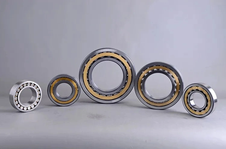 Series Cross Roller Bearing Single Row Full Complement Cylindrical Roller Bearings Ball Bearings